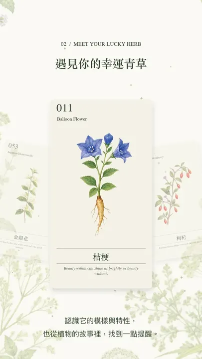 步驟二畫面：遇見你的幸運青草，桔梗圖鑑卡